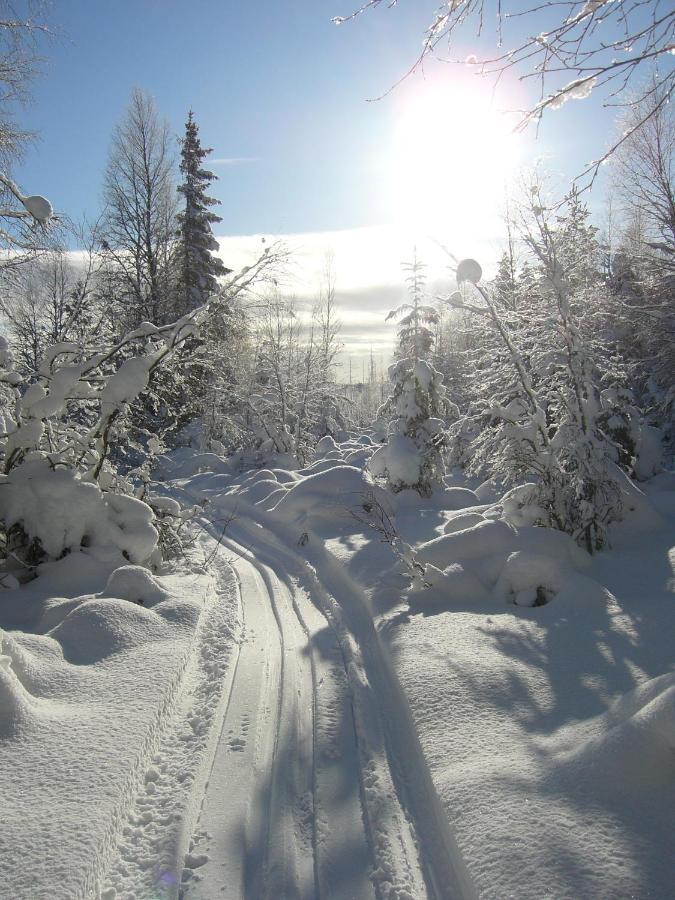 Panoramaboende Torsby Bagian luar foto