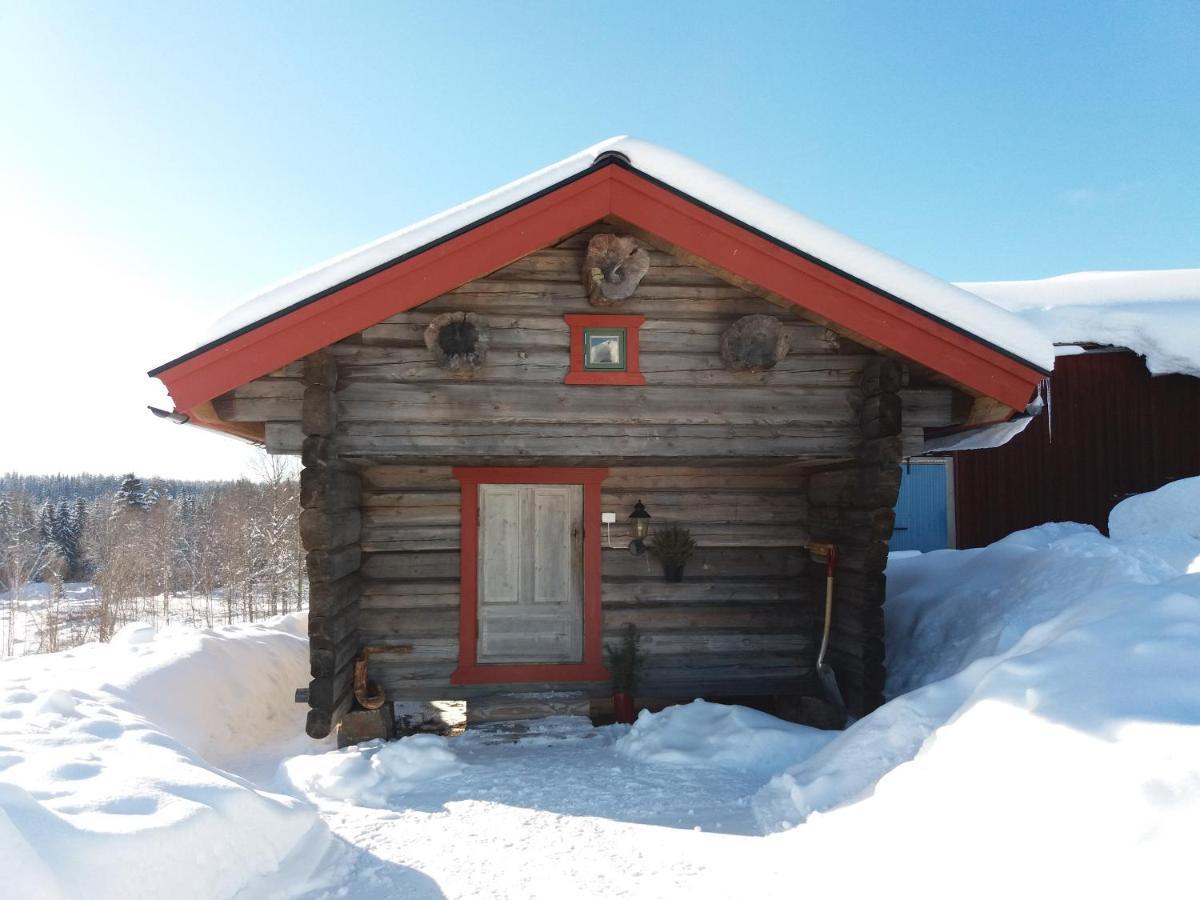 Panoramaboende Torsby Bagian luar foto
